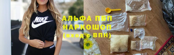 твердый Иннополис