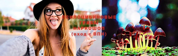 ешки Каменка