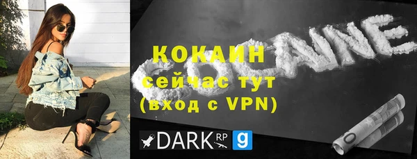мдпв Инсар