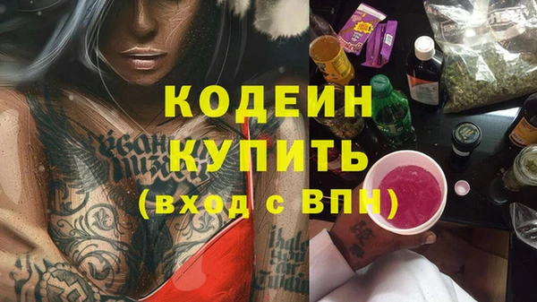 твердый Иннополис