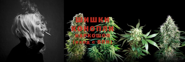 дурь Инта