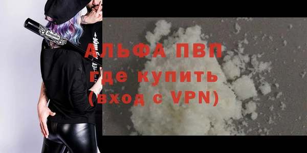 твердый Иннополис