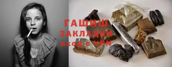 мдпв Инсар