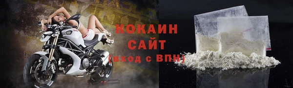 дурь Инта