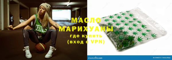 мдпв Инсар