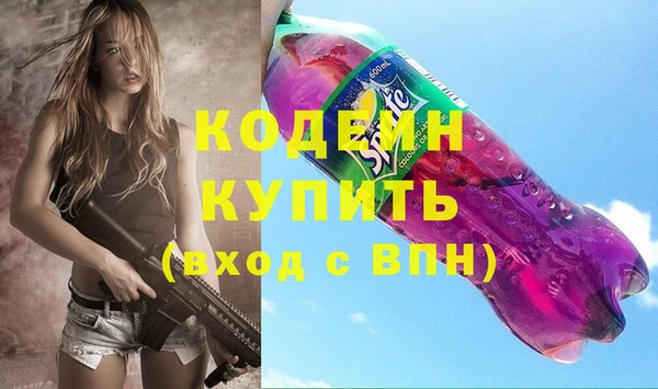 дурь Инта