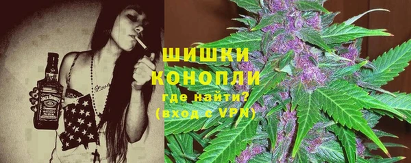 твердый Иннополис