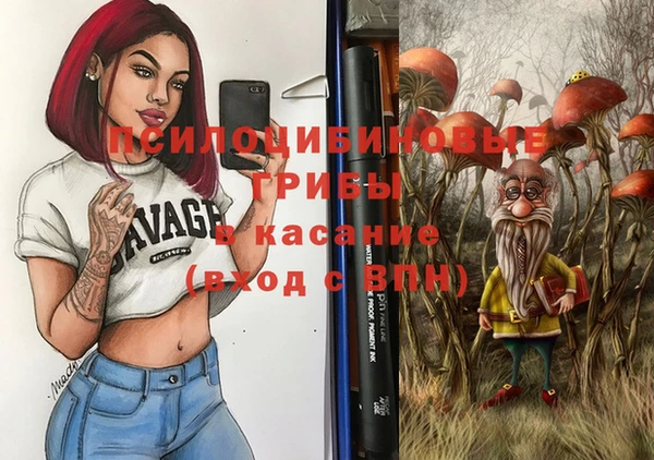 дурь Инта
