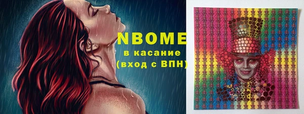мдпв Инсар