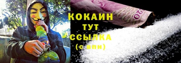 твердый Иннополис