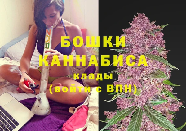 мдпв Инсар