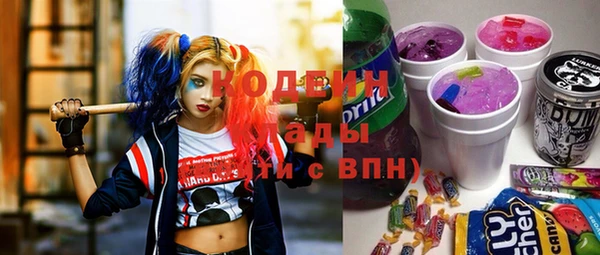 твердый Иннополис