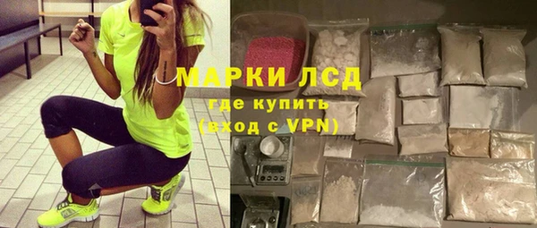 мдпв Инсар