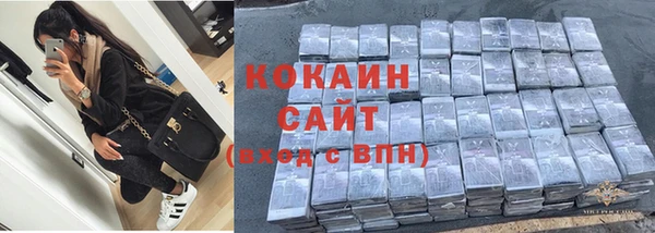 дурь Инта