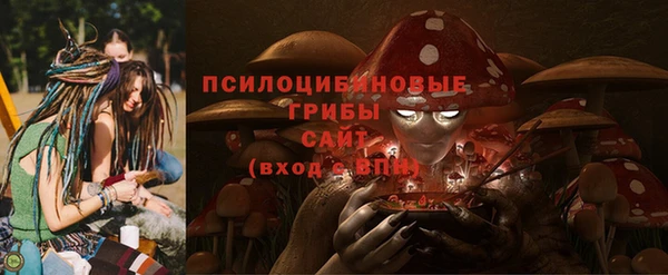 мдпв Инсар