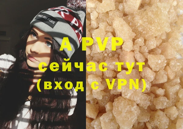 твердый Иннополис