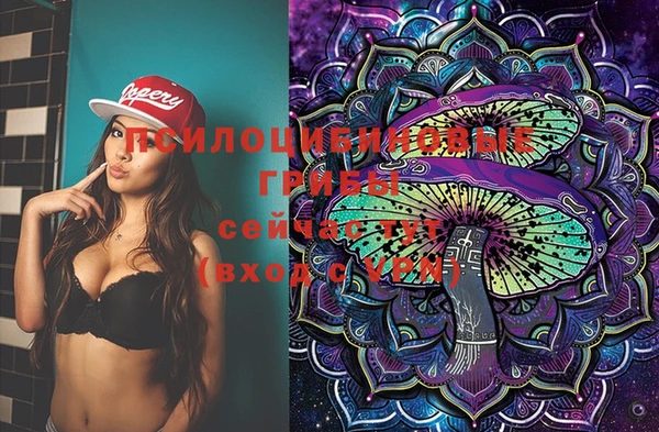 мдпв Инсар