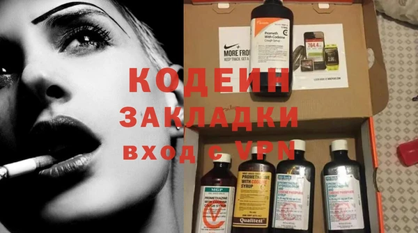 дурь Инта