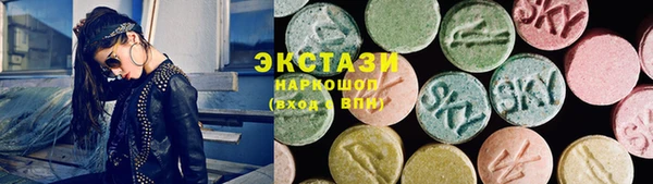 дурь Инта